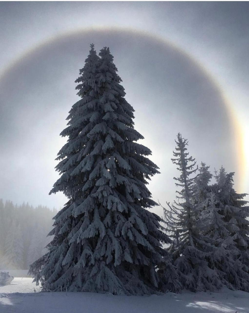 Silver Mountain Milmari Копаоник Экстерьер фото